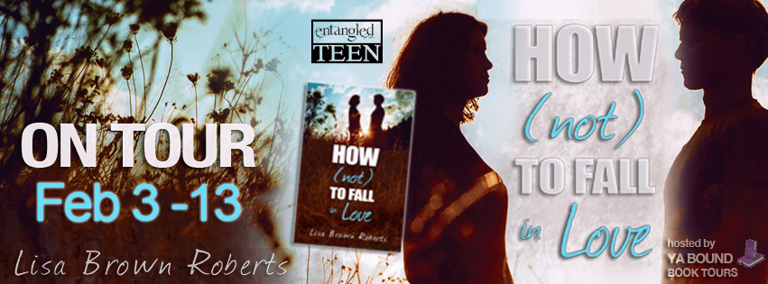 How Not to Fall in Love Lisa Brown Roberts