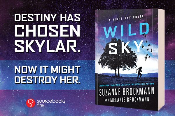 Wild Sky Suzanne Brockmann