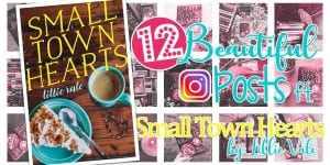 12 instagram posts featuring Small Town Hearts